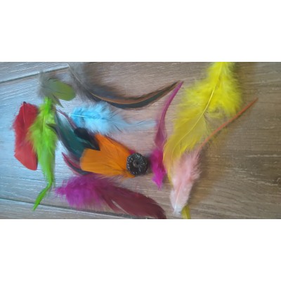 Feathers Extensions 