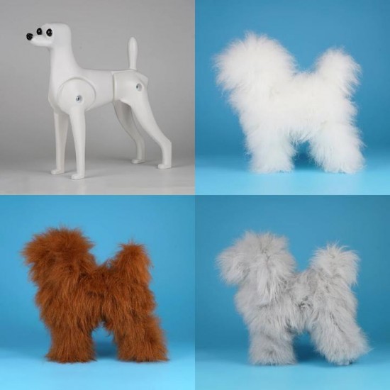Ensemble Caniche Teddybear Model dog  Opawz Choix couleurs